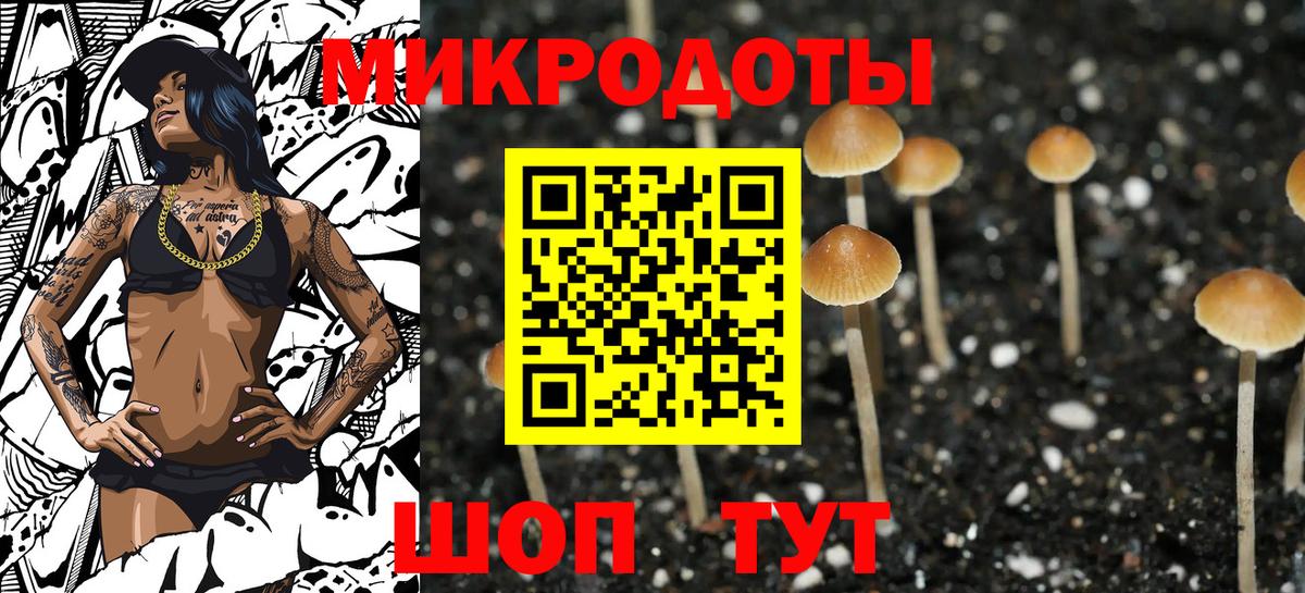 Псилоцибиновые грибы GOLDEN TEACHER  Галлюциногенные грибы прущие грибы  Вход с VPN  Гулькевичи 