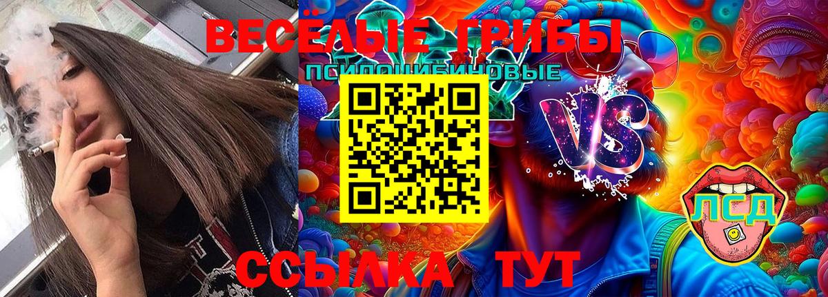 Галлюциногенные грибы Cubensis Гулькевичи