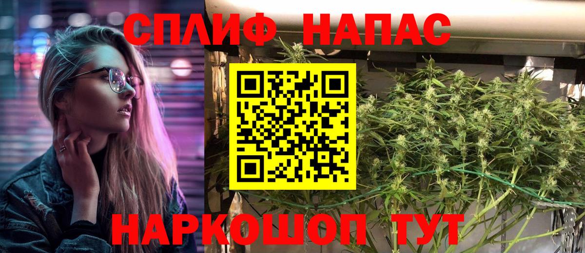 Гулькевичи  Бошки Шишки SATIVA & INDICA  Шишки марихуана SATIVA & INDICA  Вход с VPN  Конопля конопля  Бошки Шишки LSD WEED 